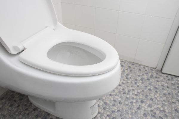 New Toilet Installation